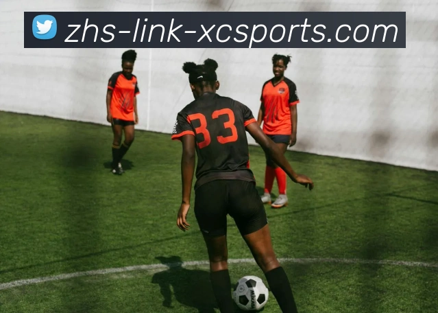 杏彩体育APP 封面图